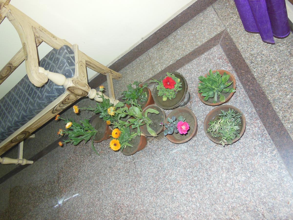Shiva Inn Varanasi Exterior photo